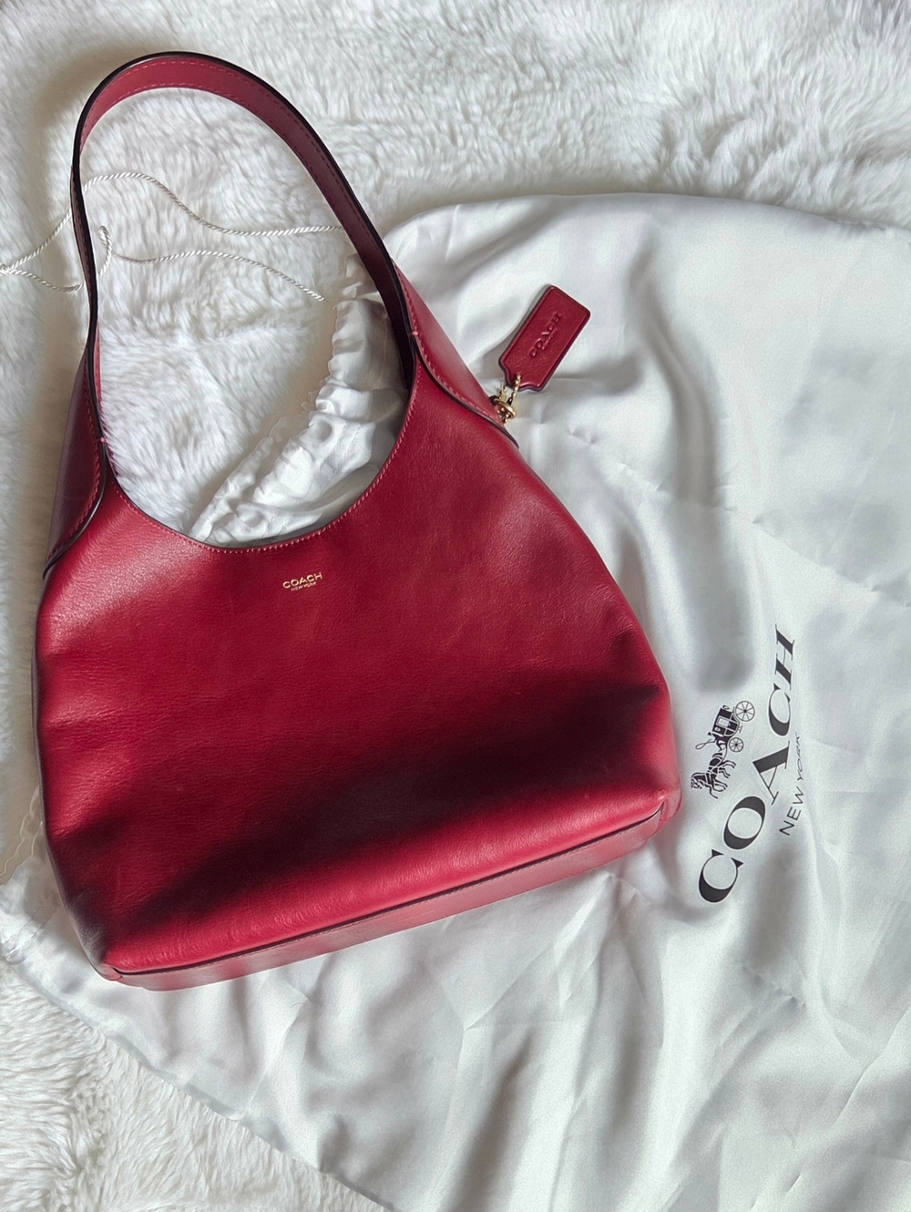 Coach Brooklyn Shoulder Bag 28